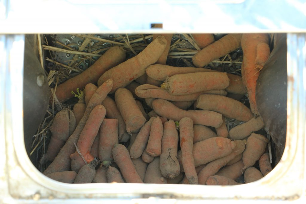 Un Frigo Naturel au Jardin 