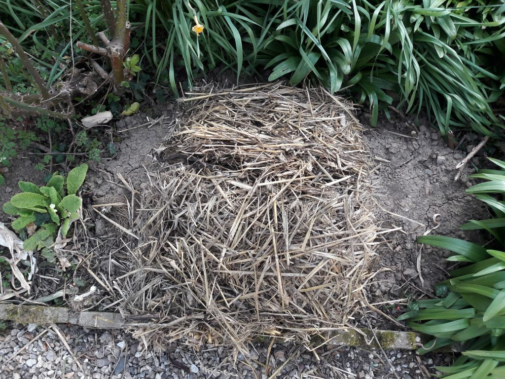 Un Frigo Naturel au Jardin 